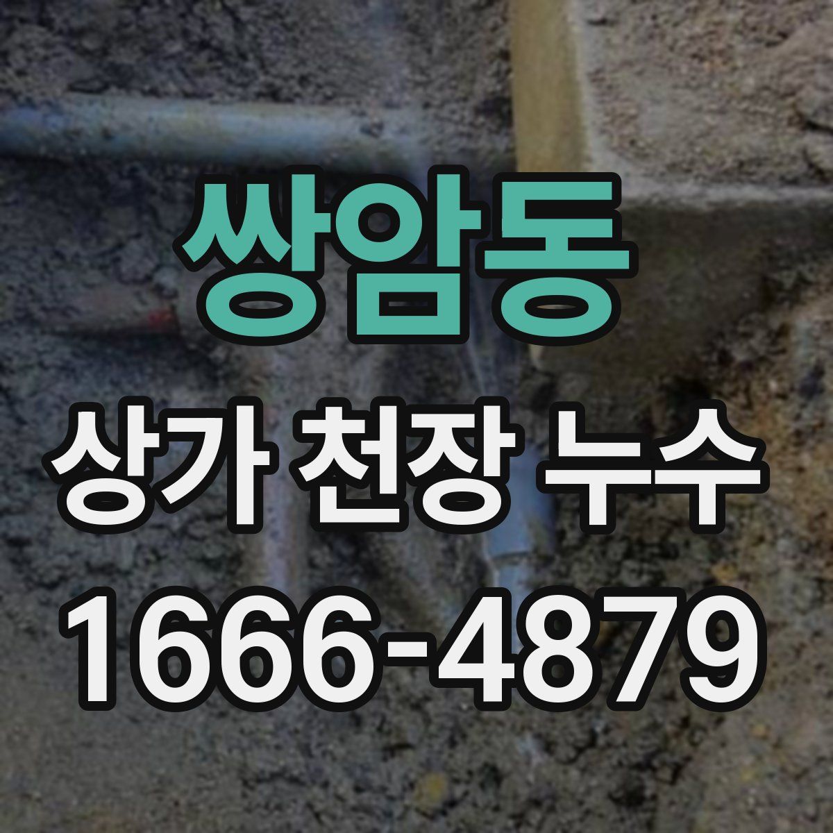 쌍암동 상가 천장 누수