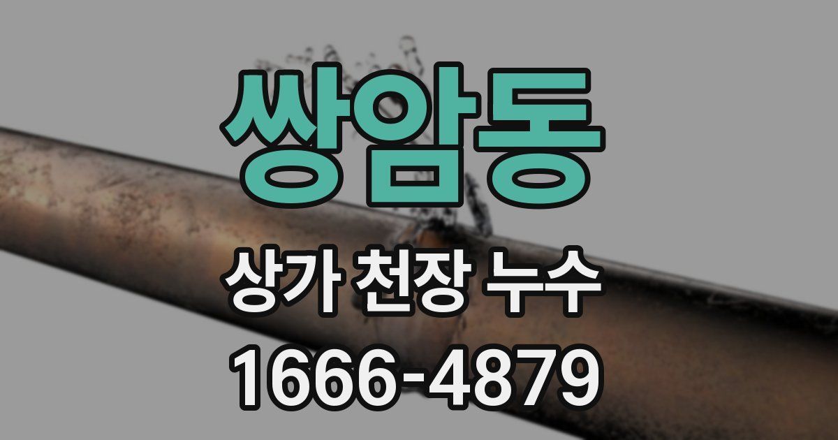 쌍암동 상가 천장 누수