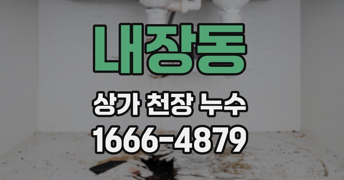 내장동 상가 천장 누수