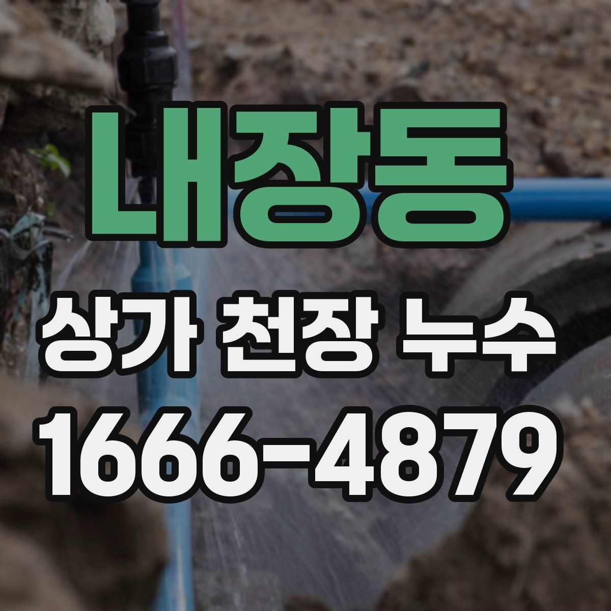 내장동 상가 천장 누수