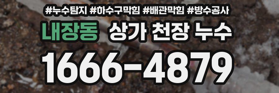 내장동 상가 천장 누수