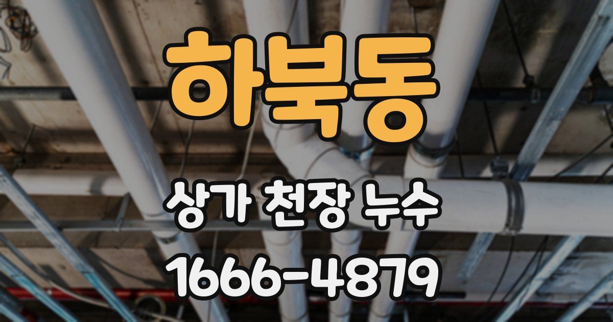 하북동 상가 천장 누수
