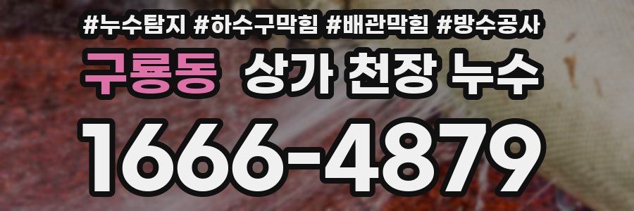 구룡동 상가 천장 누수