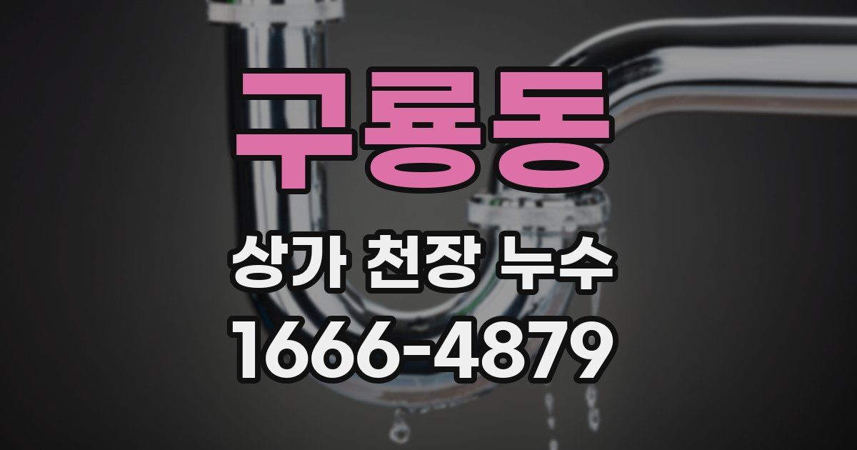 구룡동 상가 천장 누수