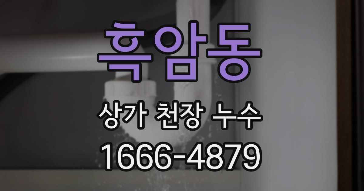 흑암동 상가 천장 누수