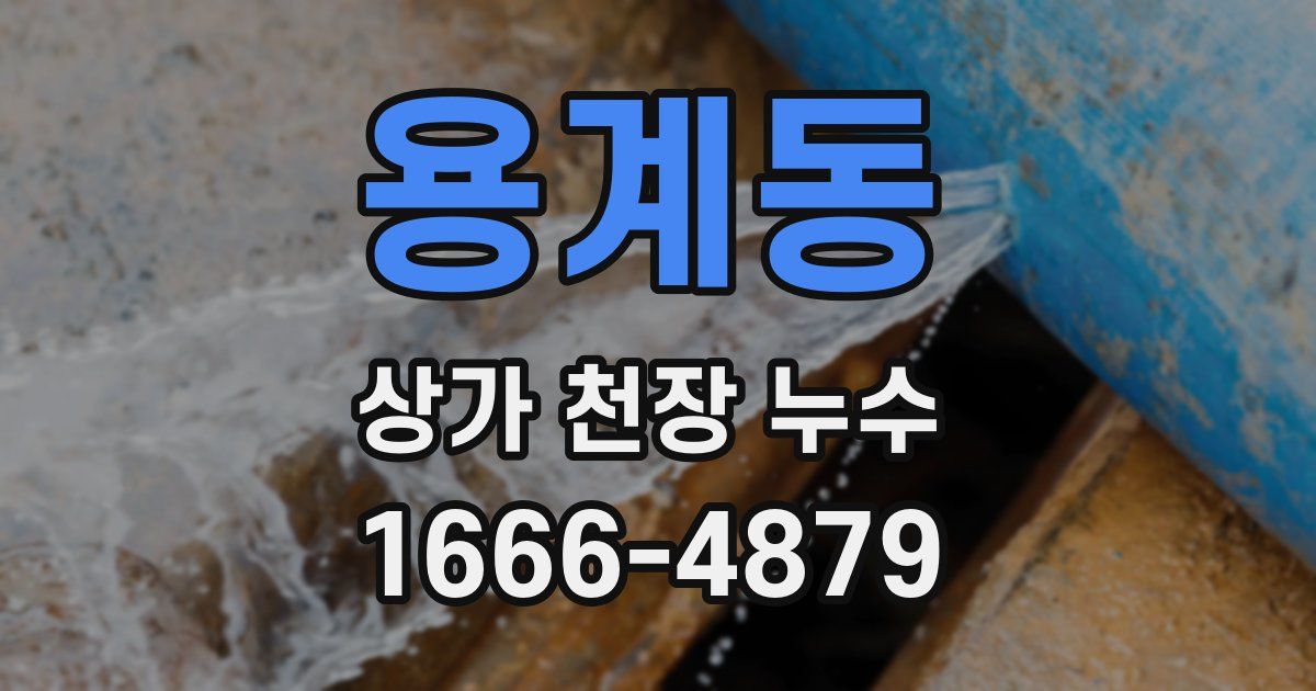 용계동 상가 천장 누수