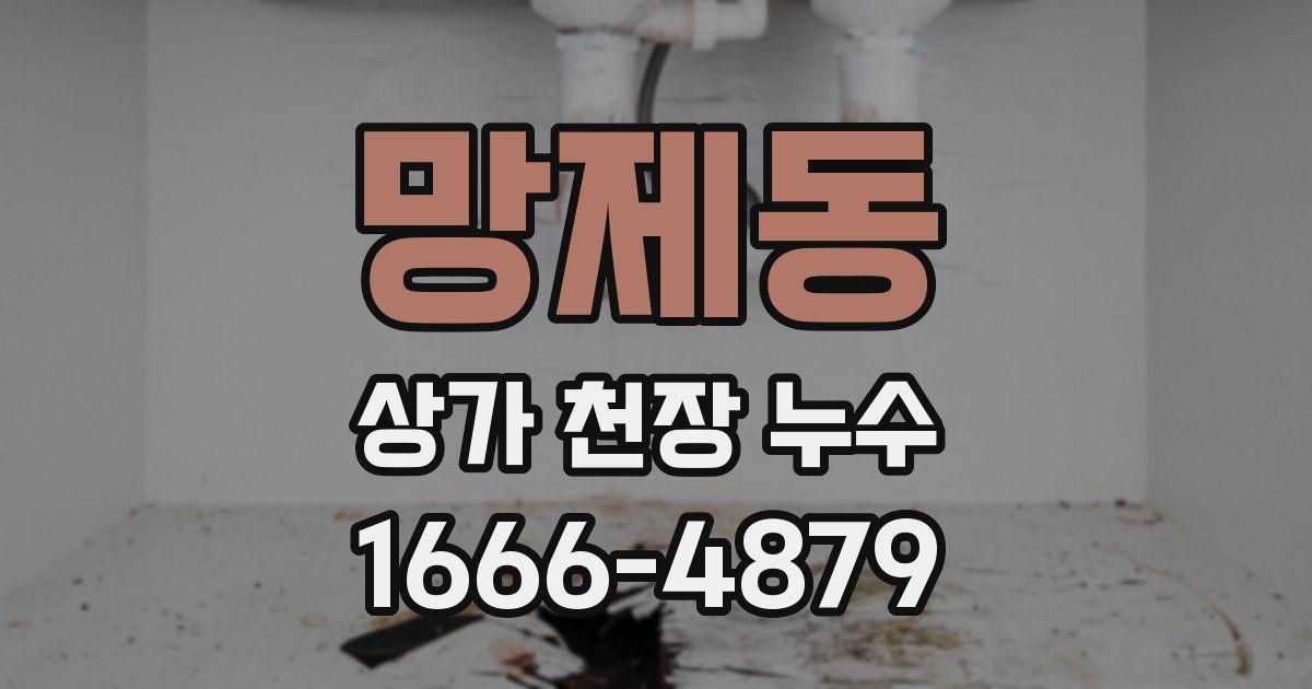 망제동 상가 천장 누수