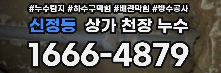 신정동 상가 천장 누수