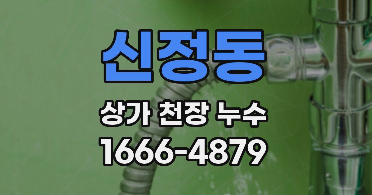 신정동 상가 천장 누수