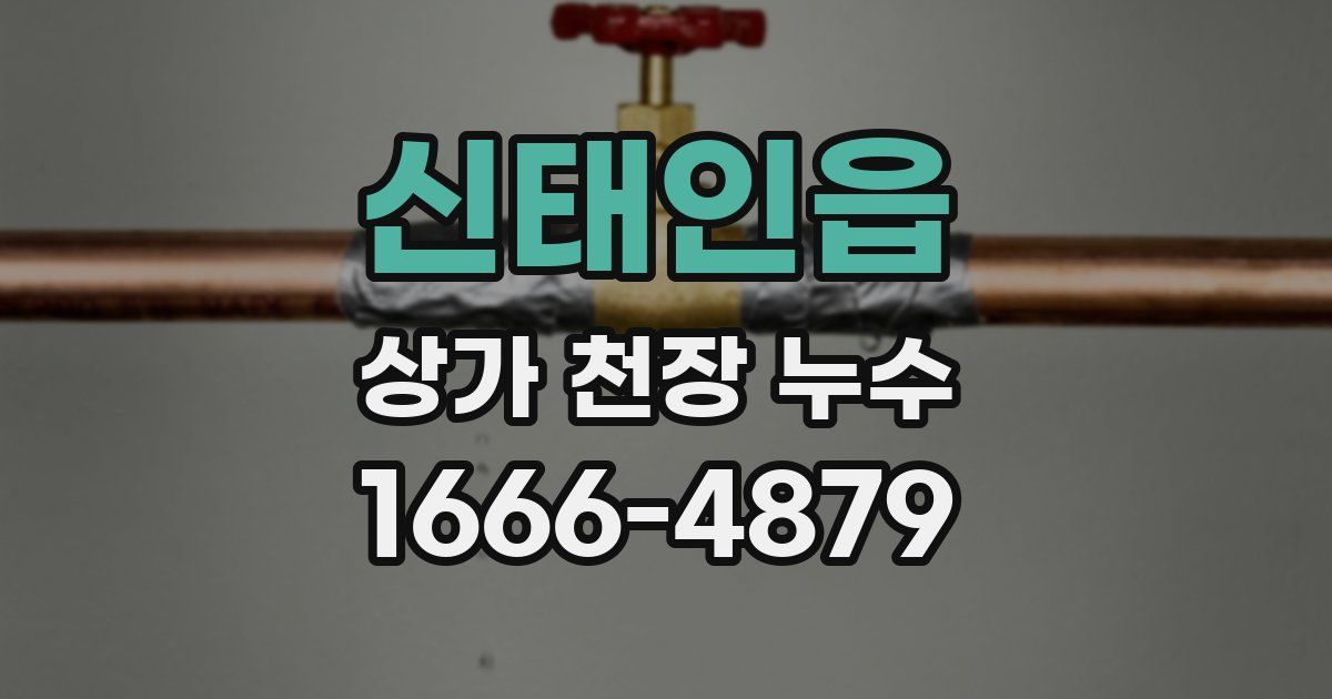 신태인읍 상가 천장 누수