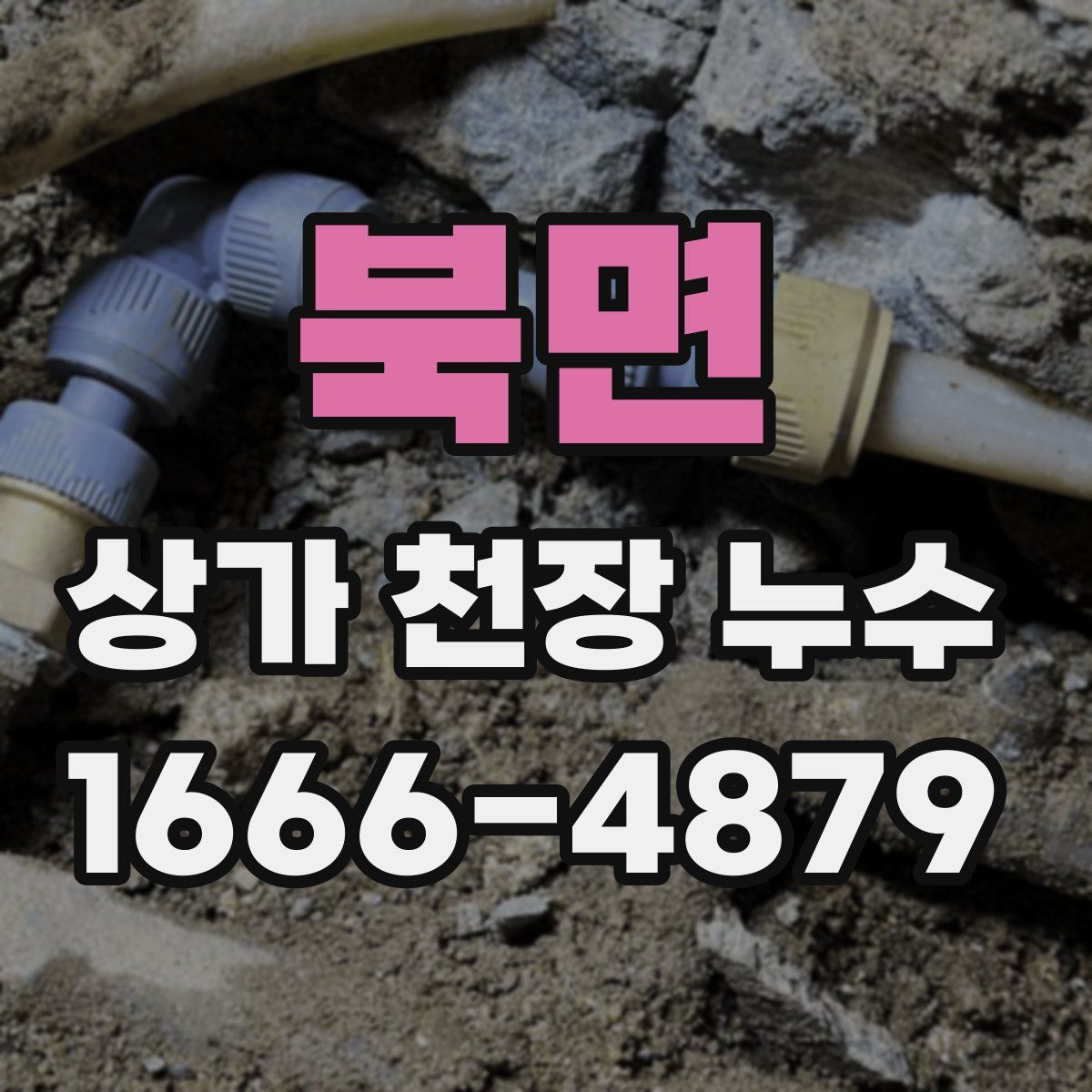 북면 상가 천장 누수