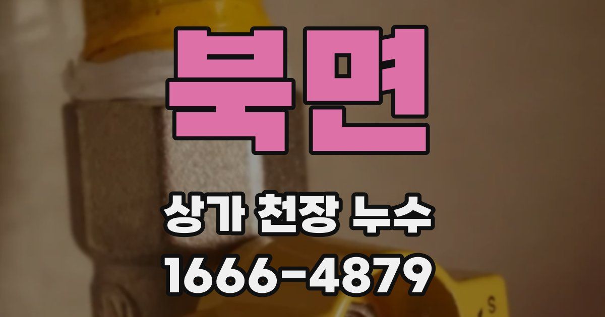 북면 상가 천장 누수