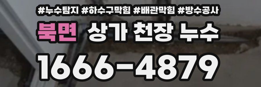 북면 상가 천장 누수