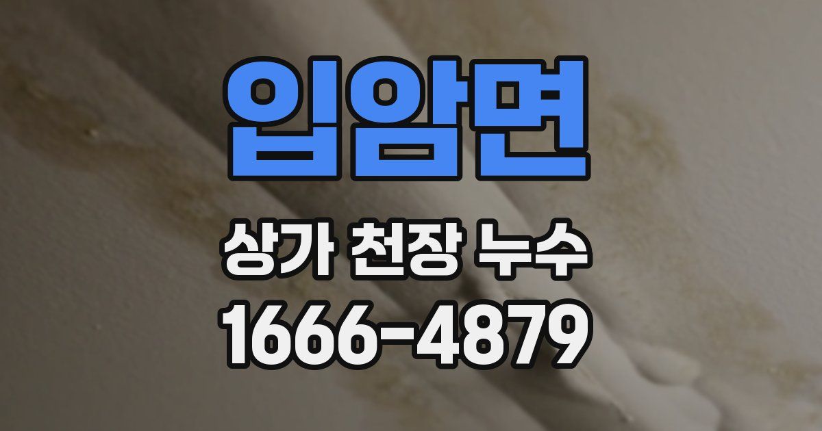 입암면 상가 천장 누수