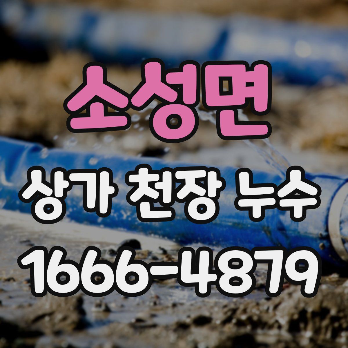 소성면 상가 천장 누수