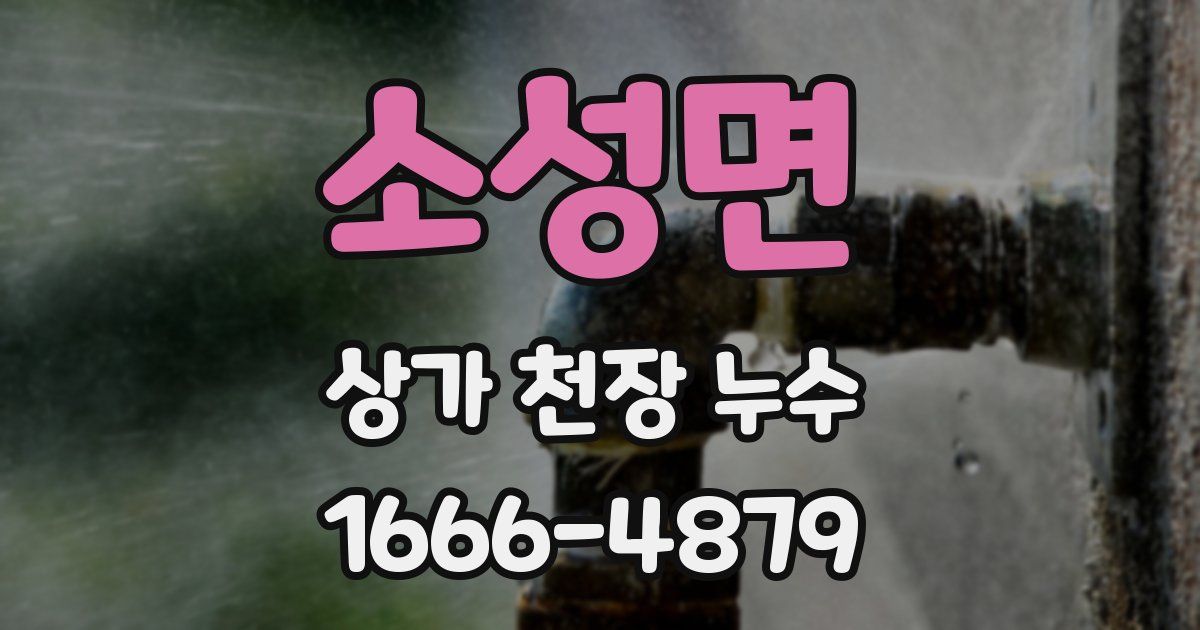 소성면 상가 천장 누수