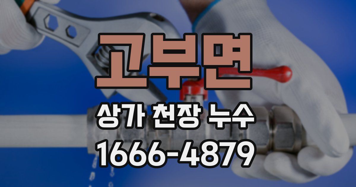 고부면 상가 천장 누수
