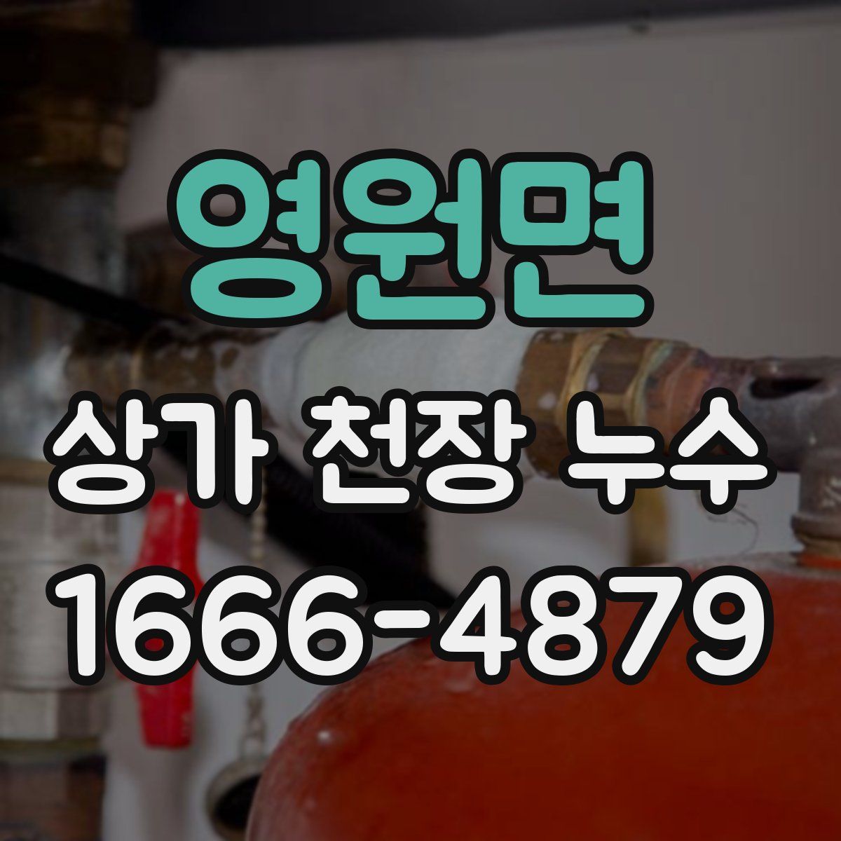 영원면 상가 천장 누수