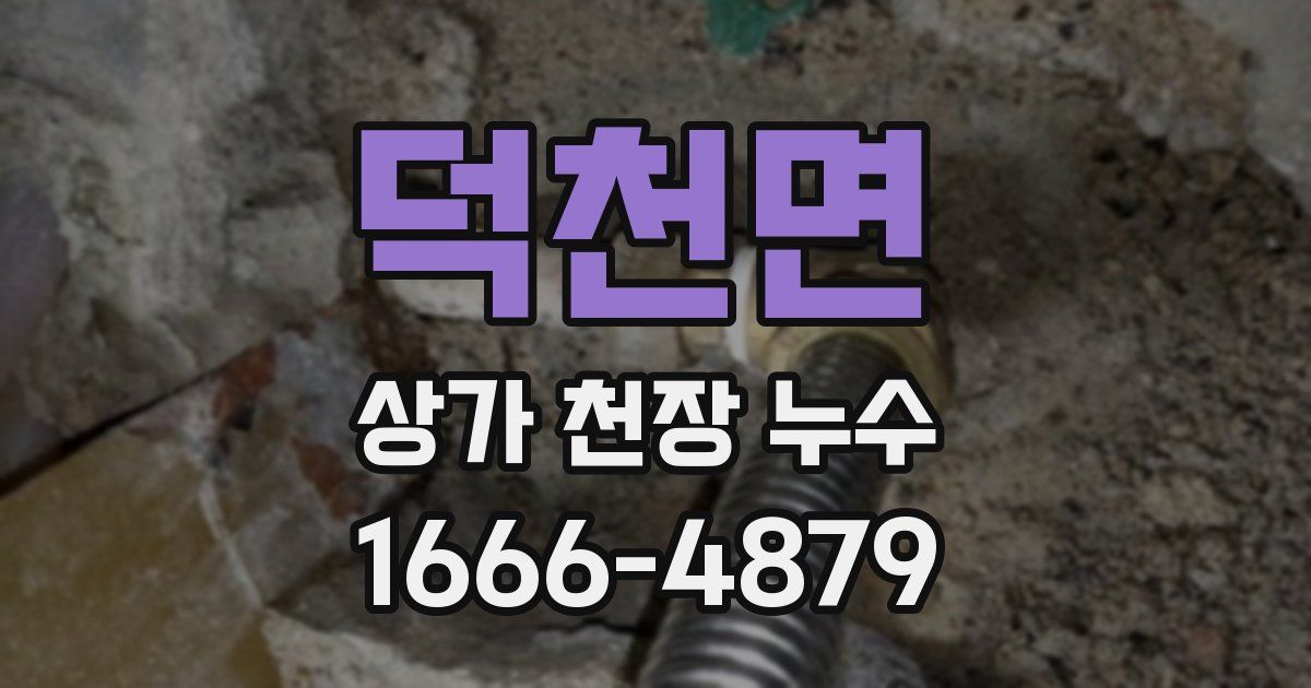 덕천면 상가 천장 누수