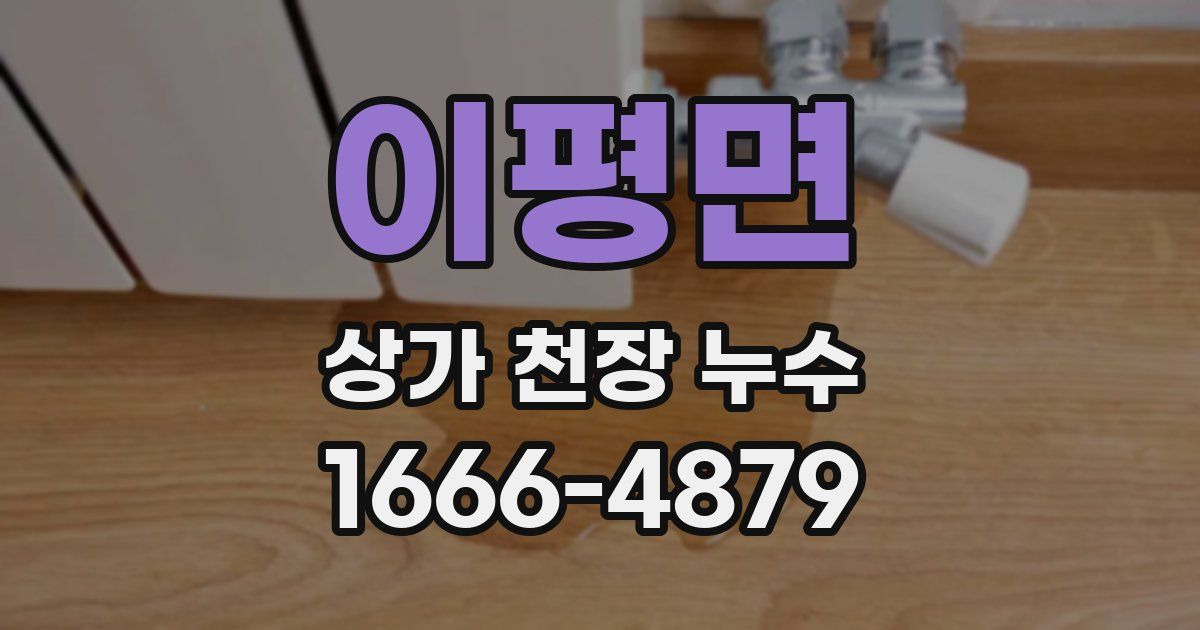 이평면 상가 천장 누수