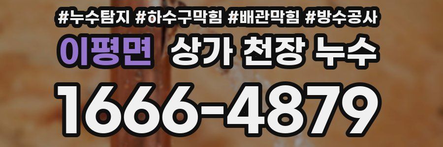 이평면 상가 천장 누수