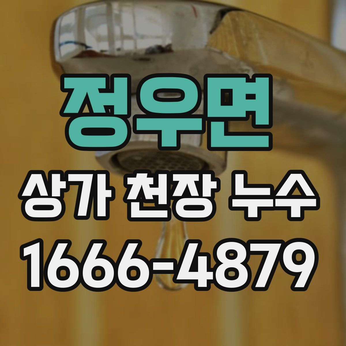 정우면 상가 천장 누수