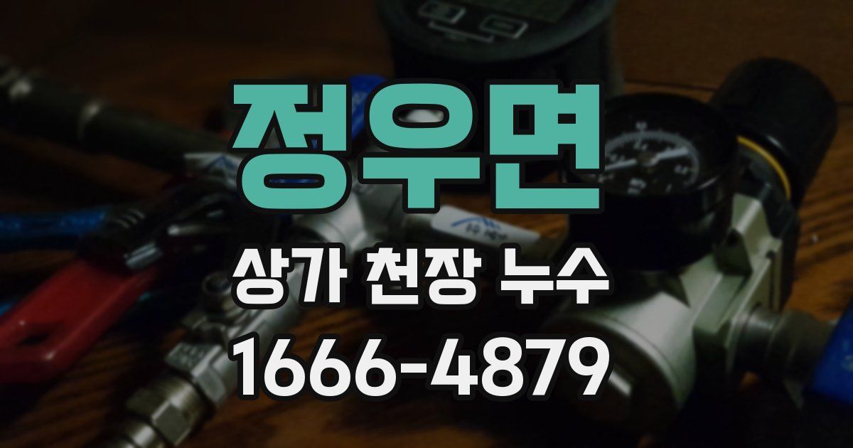 정우면 상가 천장 누수