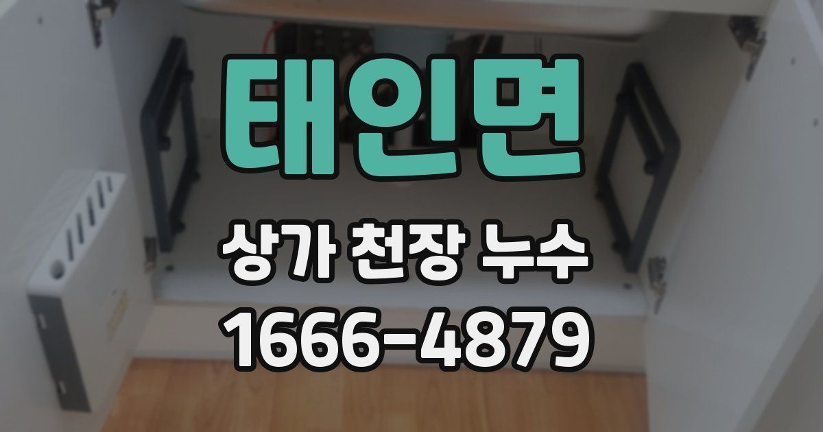 태인면 상가 천장 누수