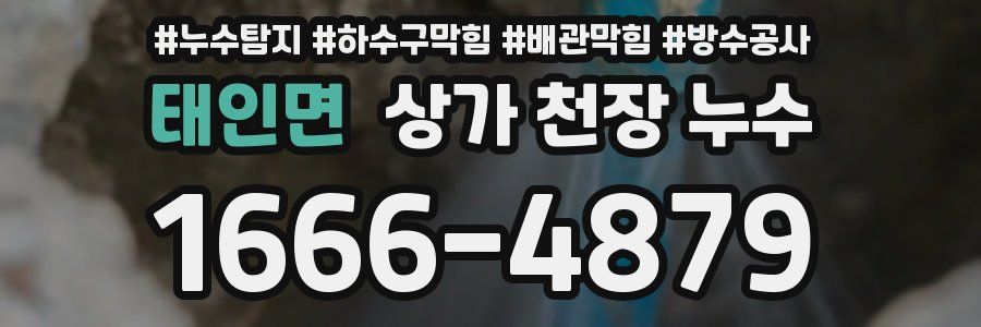 태인면 상가 천장 누수