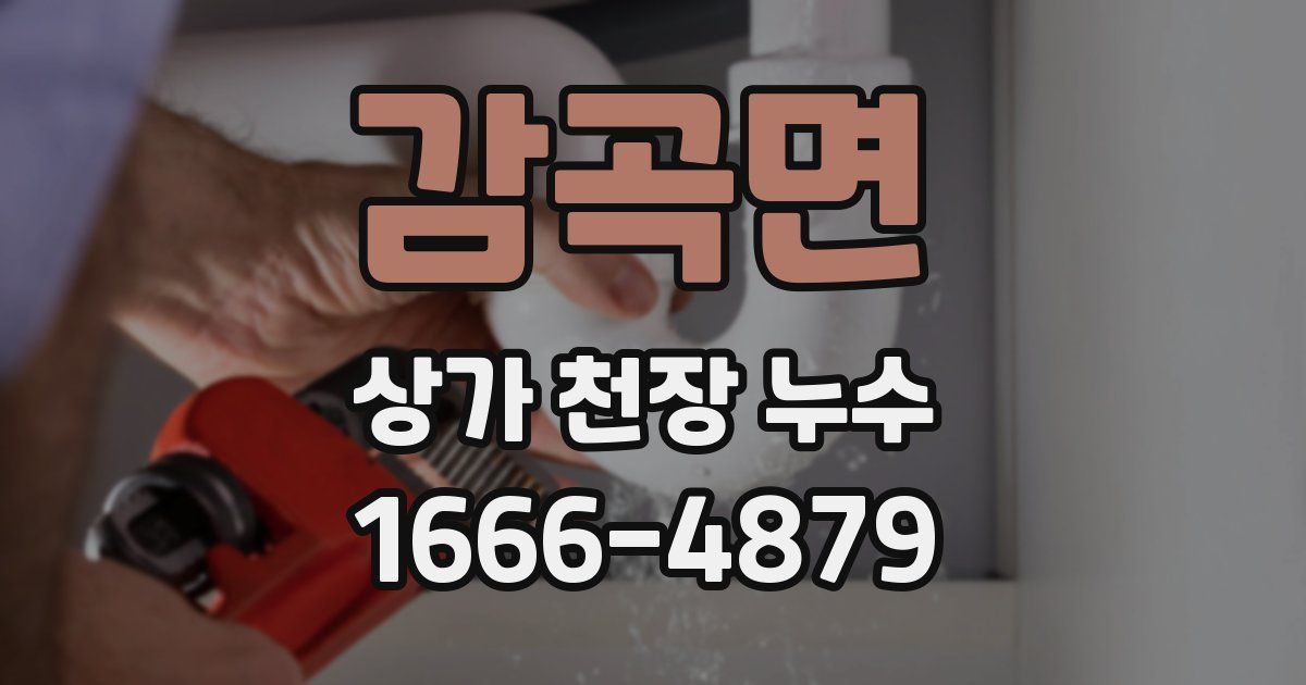 감곡면 상가 천장 누수