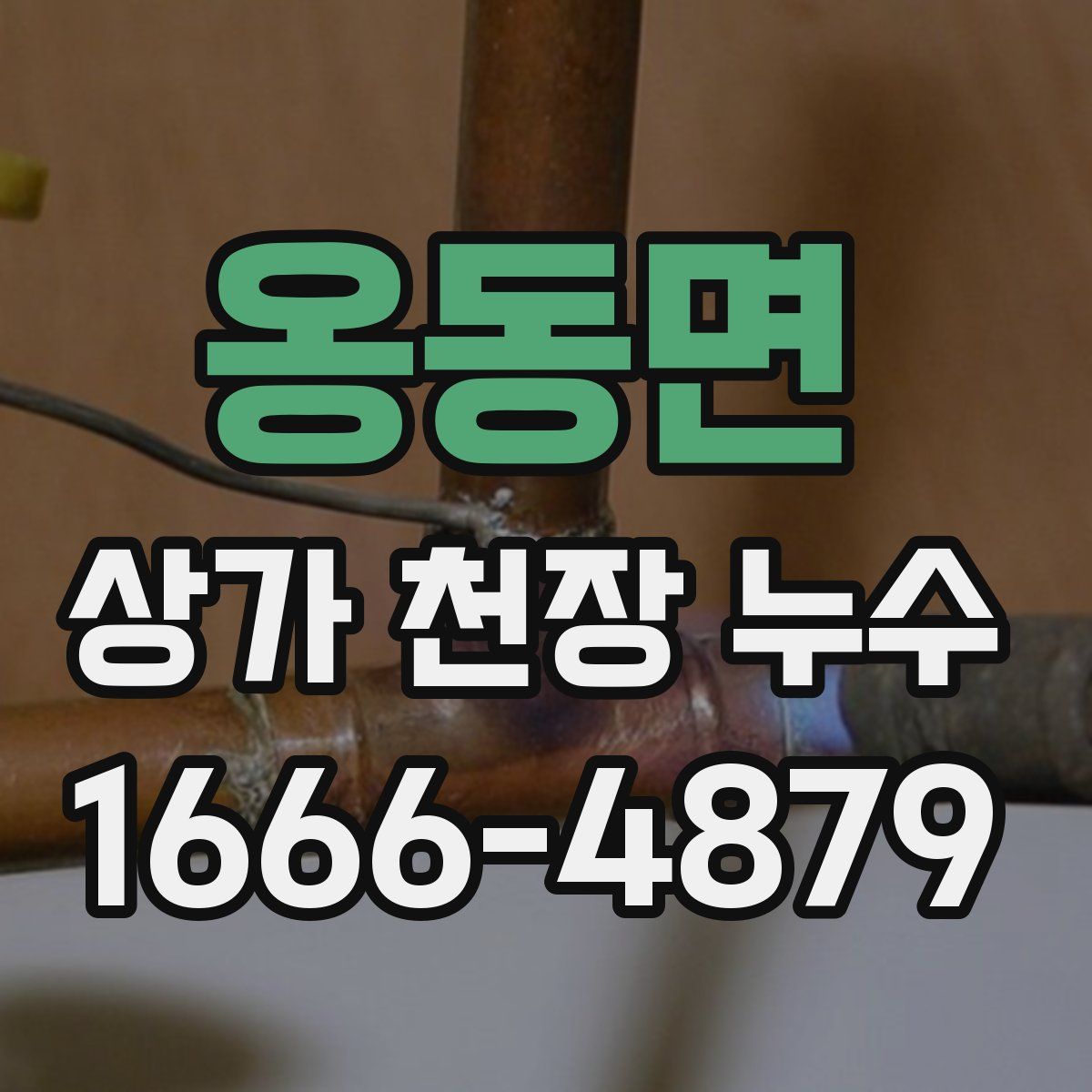 옹동면 상가 천장 누수