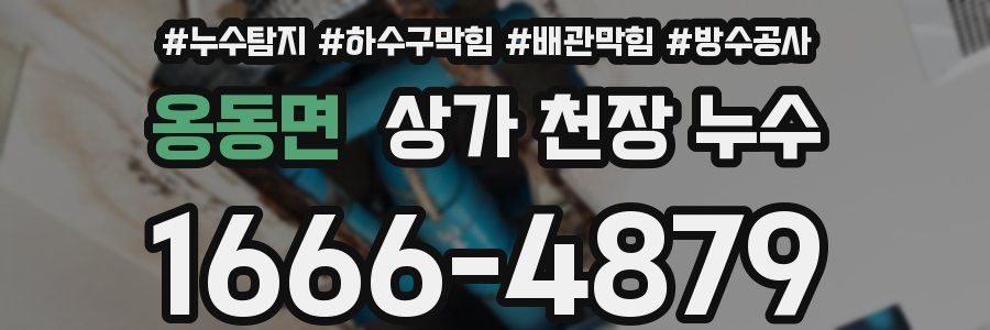 옹동면 상가 천장 누수