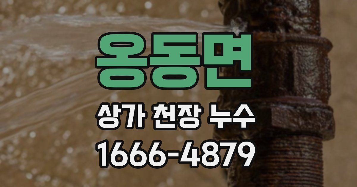 옹동면 상가 천장 누수
