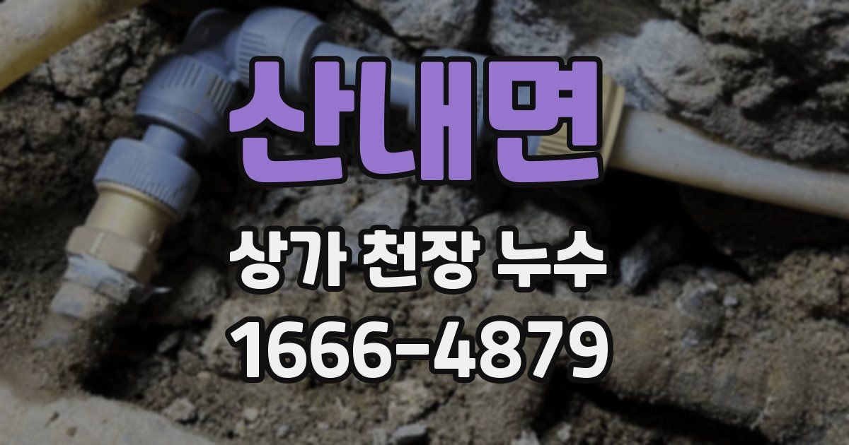 산내면 상가 천장 누수