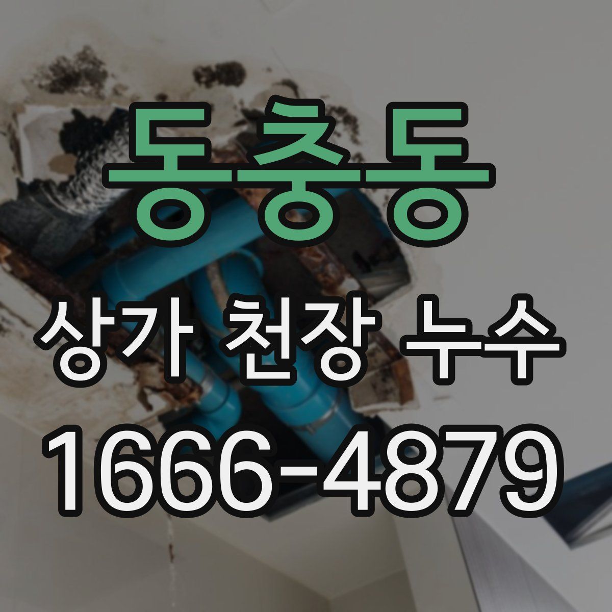 동충동 상가 천장 누수