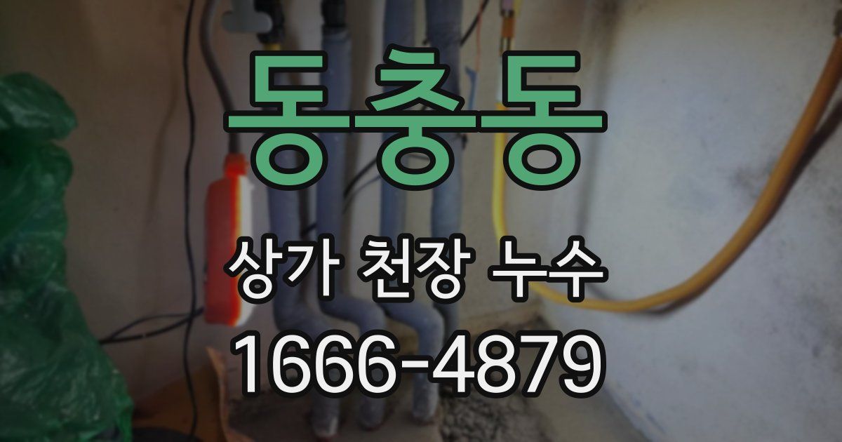 동충동 상가 천장 누수