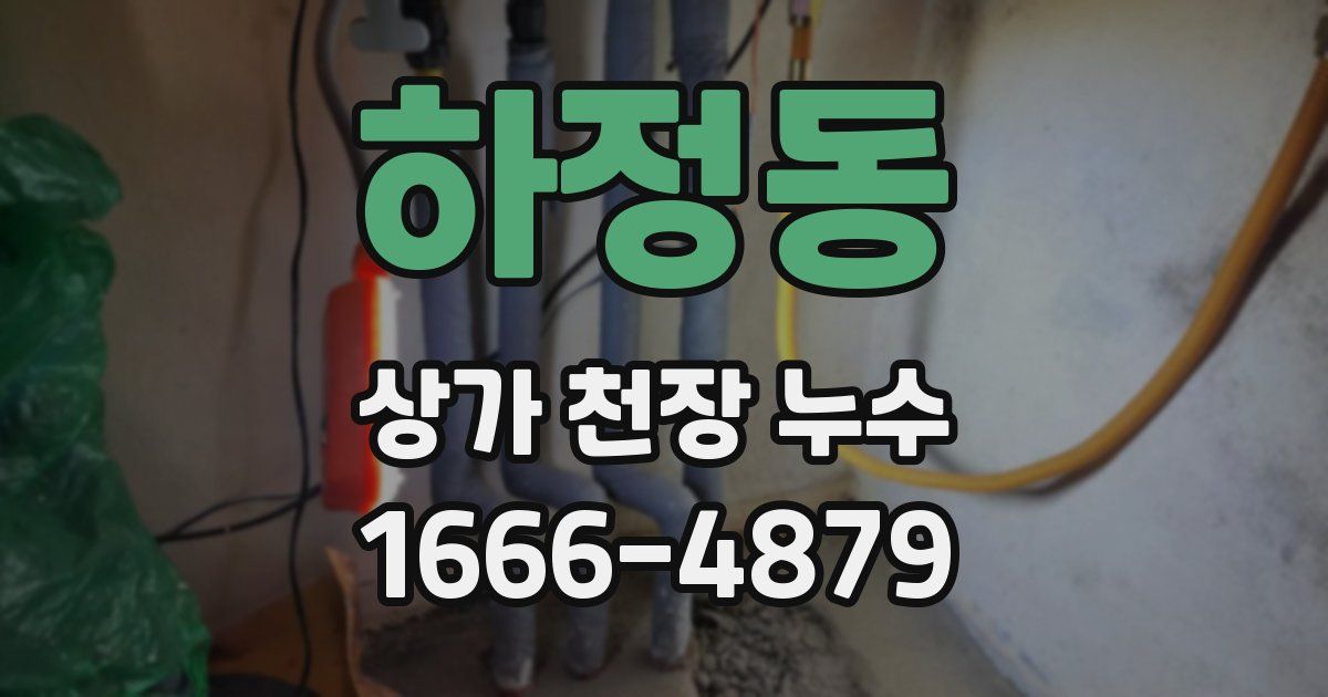 하정동 상가 천장 누수