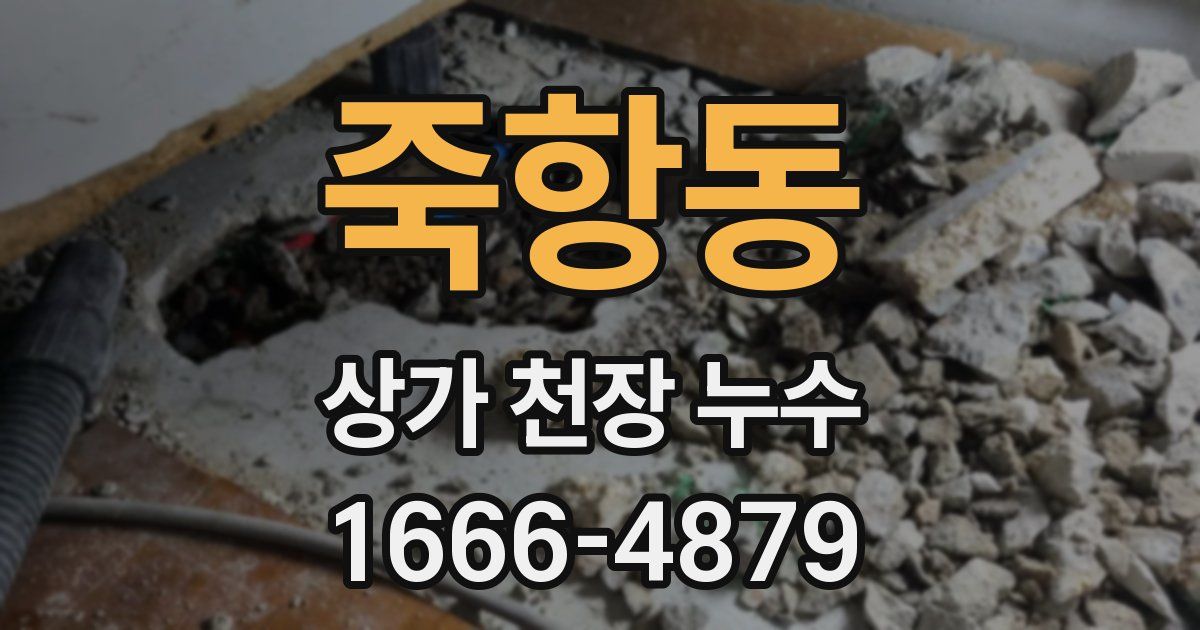 죽항동 상가 천장 누수