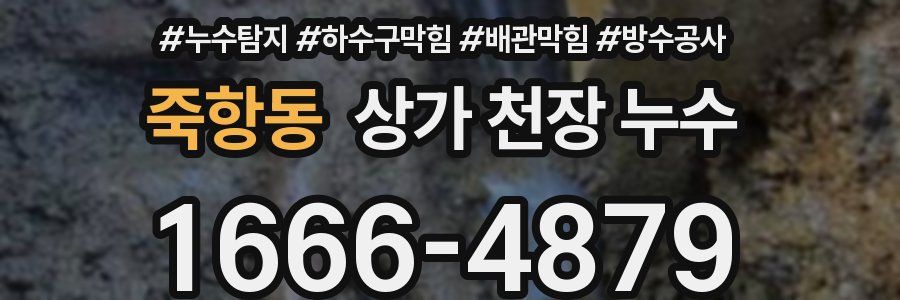 죽항동 상가 천장 누수