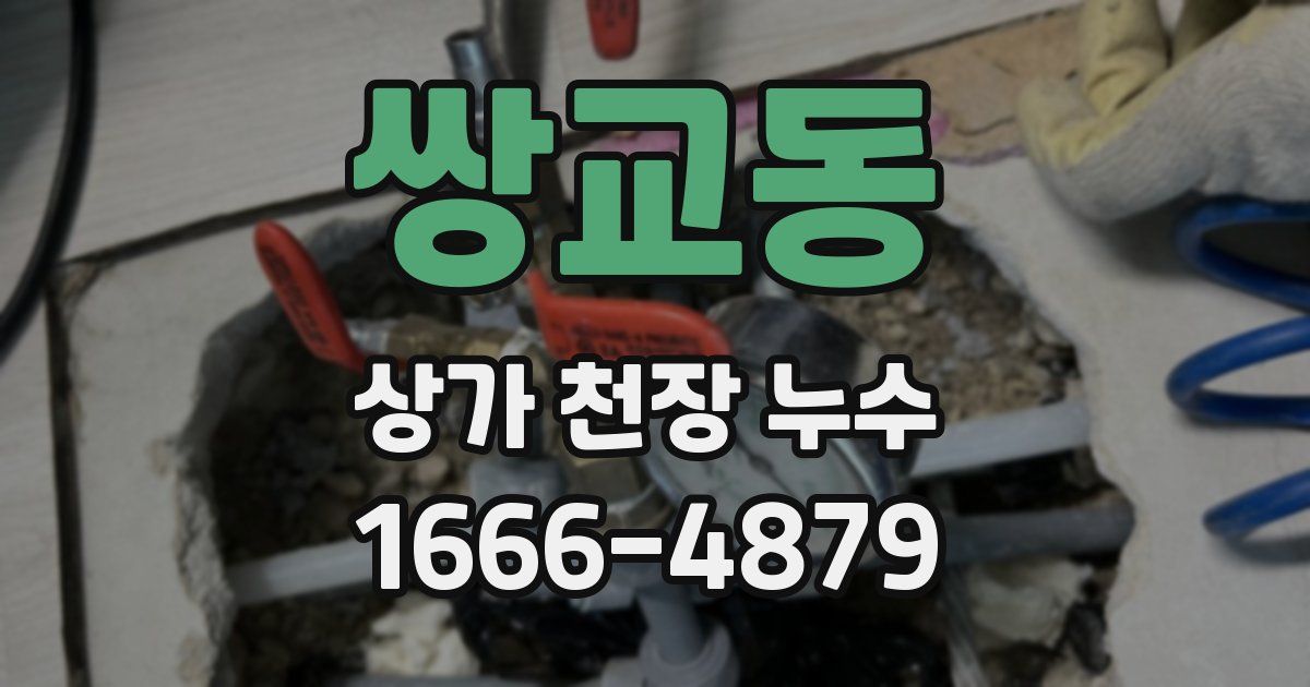 쌍교동 상가 천장 누수