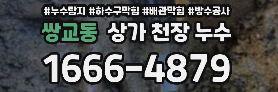 쌍교동 상가 천장 누수