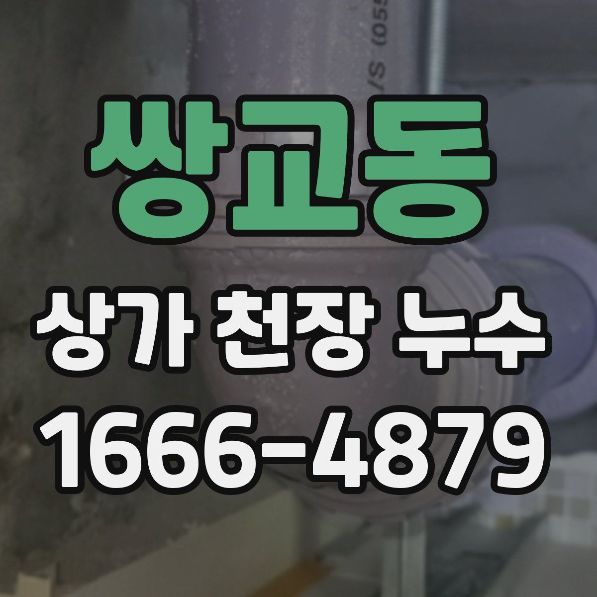 쌍교동 상가 천장 누수
