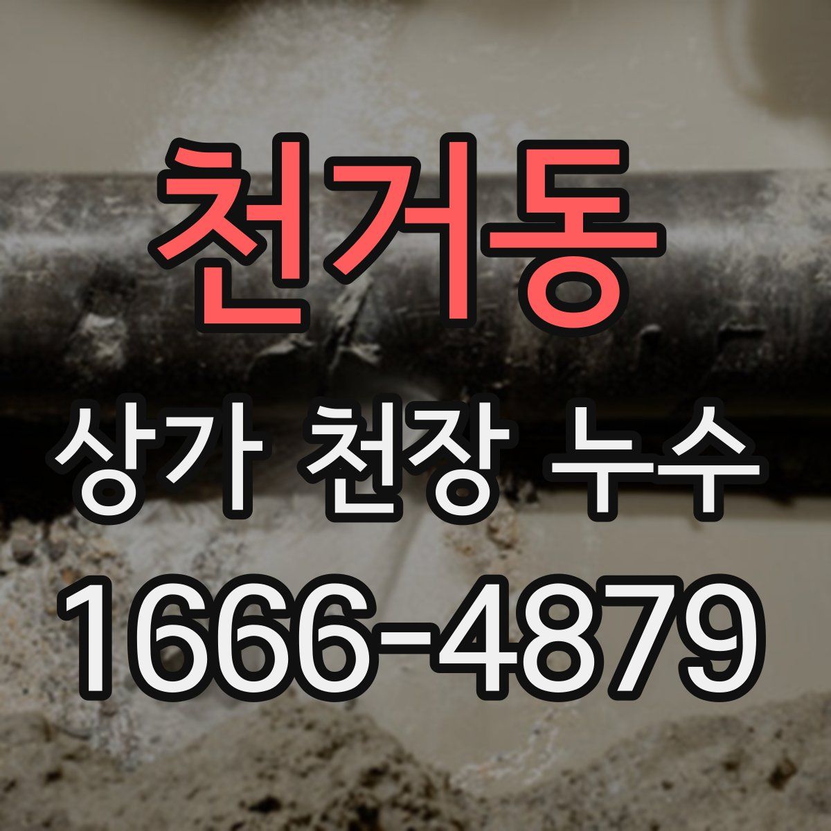 천거동 상가 천장 누수