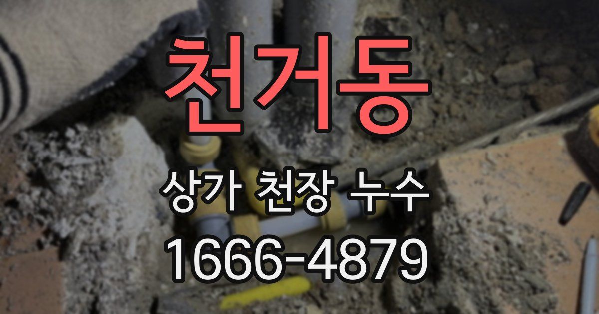 천거동 상가 천장 누수