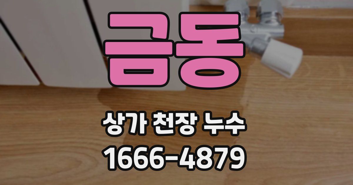 금동 상가 천장 누수