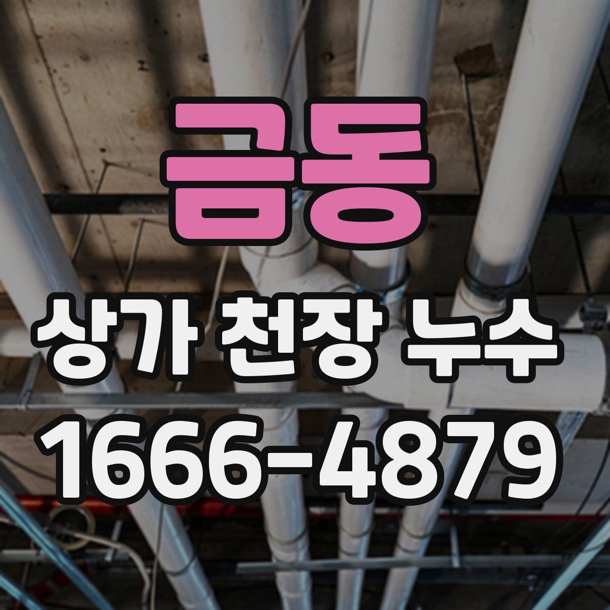 금동 상가 천장 누수