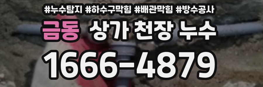 금동 상가 천장 누수