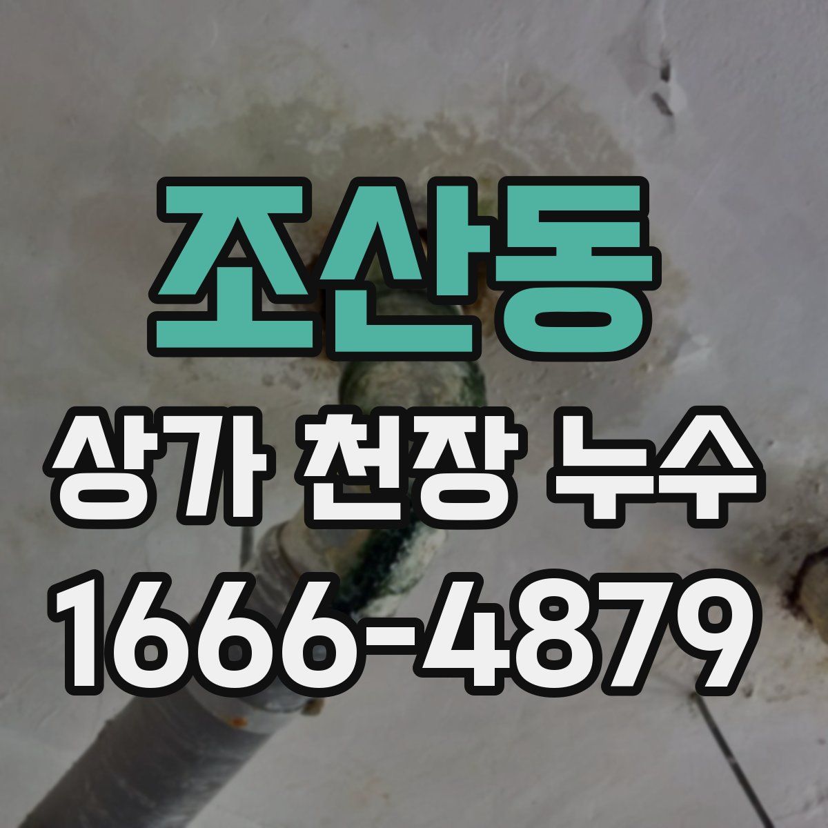 조산동 상가 천장 누수
