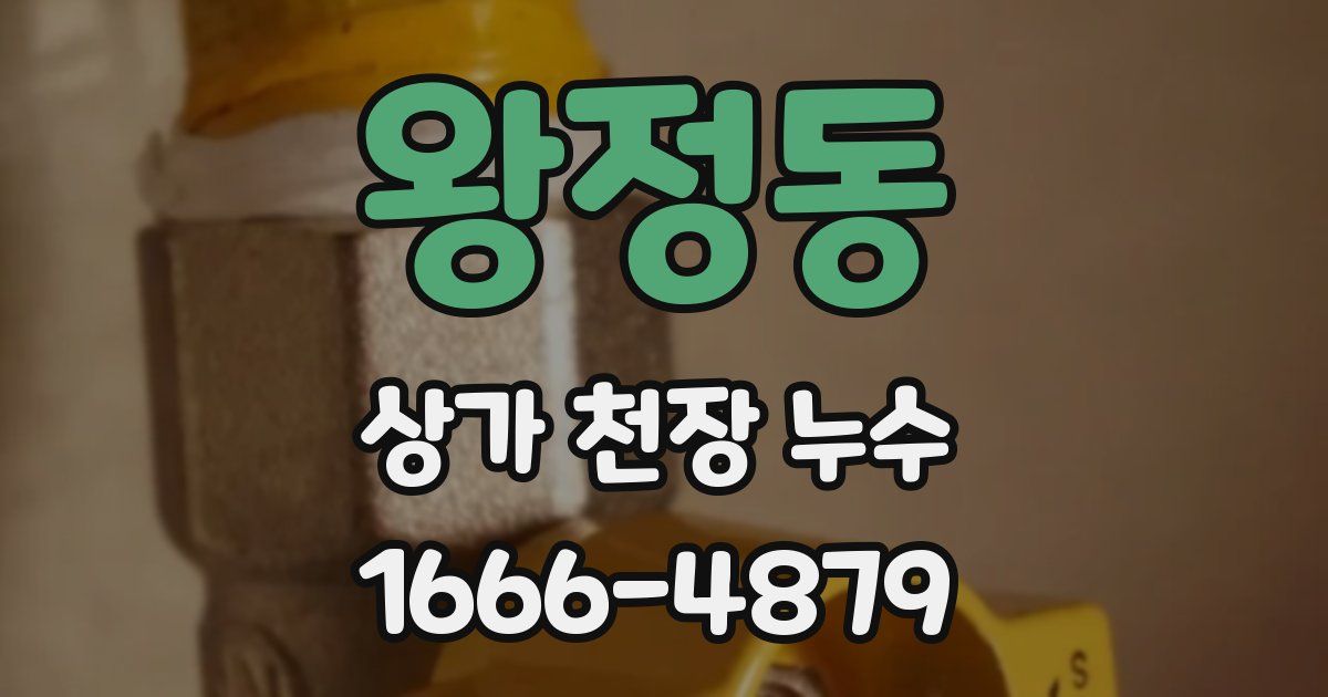 왕정동 상가 천장 누수