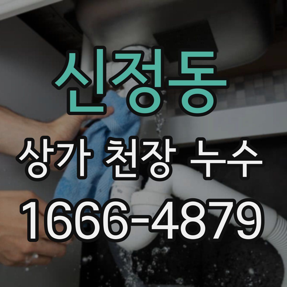 신정동 상가 천장 누수